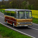 Omnibustreffen Sinsheim Speyer 2023 515