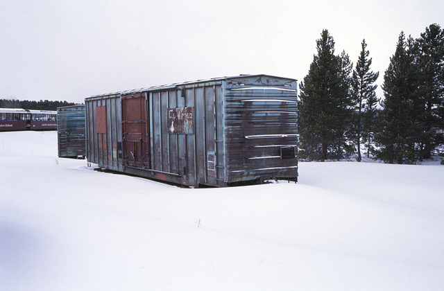 Boxcars, Leadville, Colorado