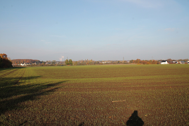 Feld am Hellweg (Unna-Massen) / 12.11.2016