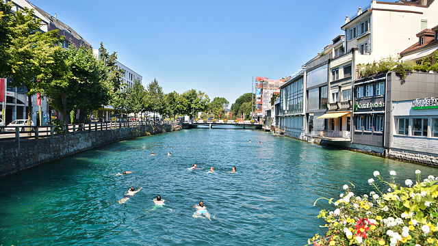 Aare Fluss Thun