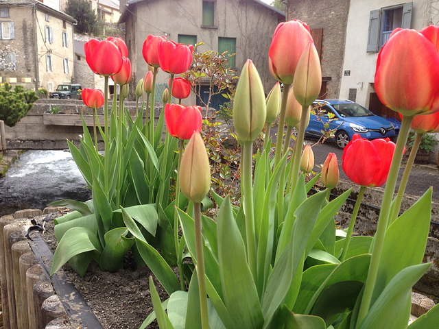 Le printemps est là ...Enfin !