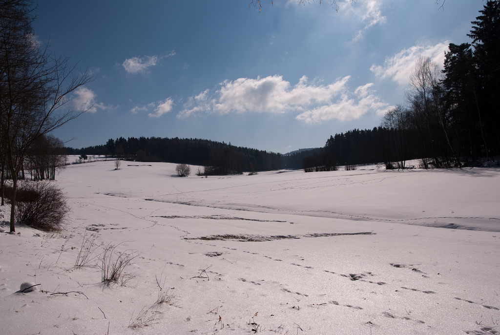 Schneelandschaft