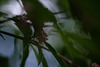 DSCF0516