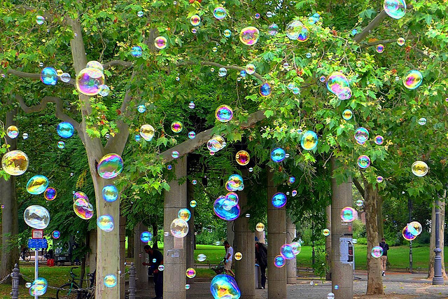 Happy Bubbly Fence Friday!