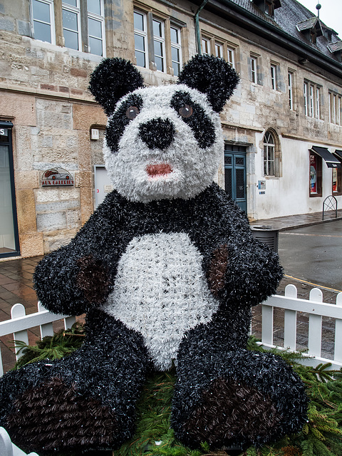 MONTBELIARD: Le marché de Noël 04