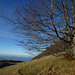 20151111 Rando Vercors Col de Montaud (112) al