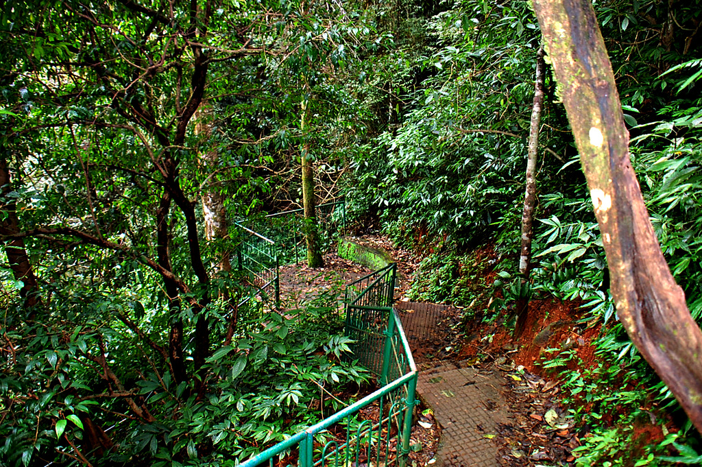 Going down - to the falls