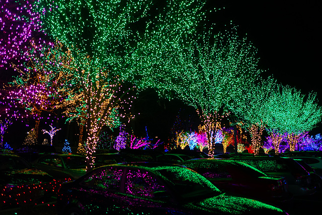 Christmas Lights at the Mormon Temple