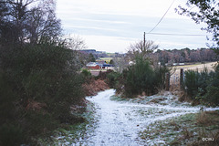 The Old Steading from the Rafford Woods