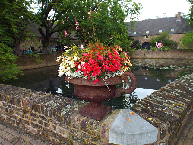 DSCF7901