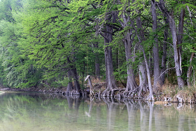 Rio Frio