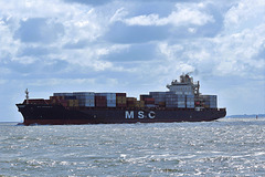 MSC  VAISHNIAVI R.