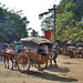 touring by horse and cart