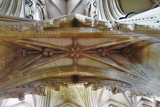 beverley minster, yorks