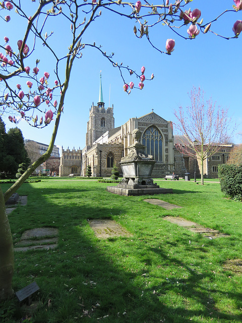 chelmsford cathedral, essex  (2)