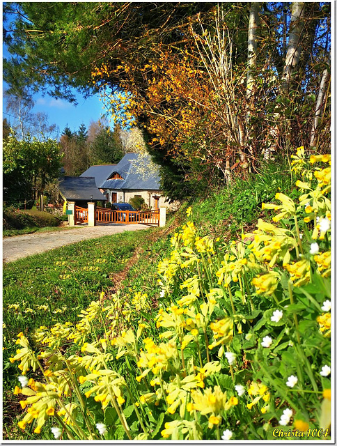 Petite maison dans la prairie... HFF