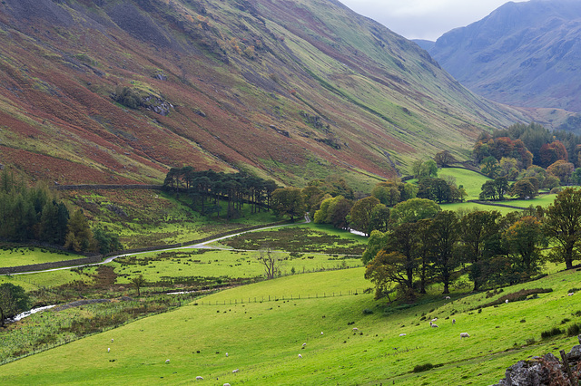 Grisedale: valley