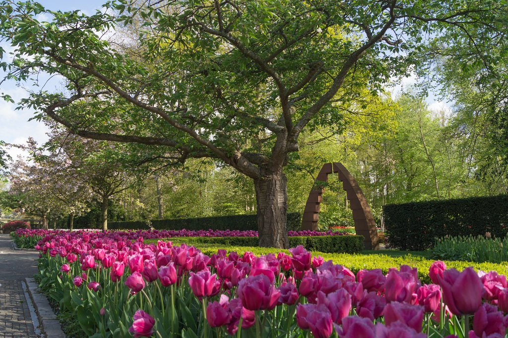 Niederlande - Keukenhof DSC09516