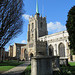 chelmsford cathedral, essex  (64)