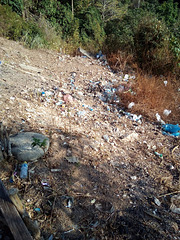 Crime contre la nature en direct ...... Crime contre la nature en direct ......