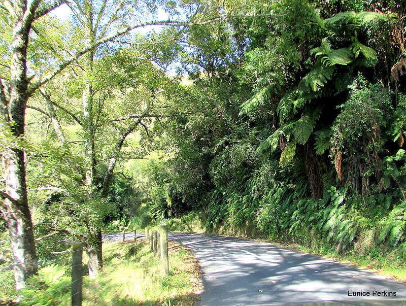 Quiet Country Road.