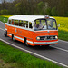 Omnibustreffen Sinsheim Speyer 2023 548