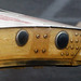 Pareidolia