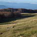 20151111 Rando Vercors Col de Montaud (113) al