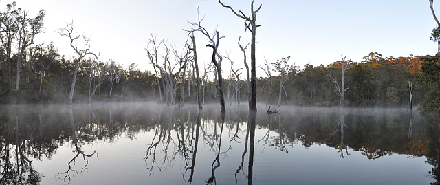 Misty Start