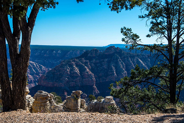 Grand Canyon set 211