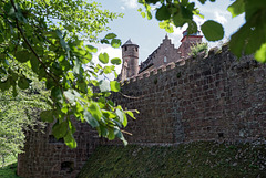 21.08.11 Burg Breuberg 8