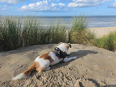 Belgien - Bredene / de Haan