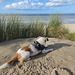 Belgien - Bredene / de Haan