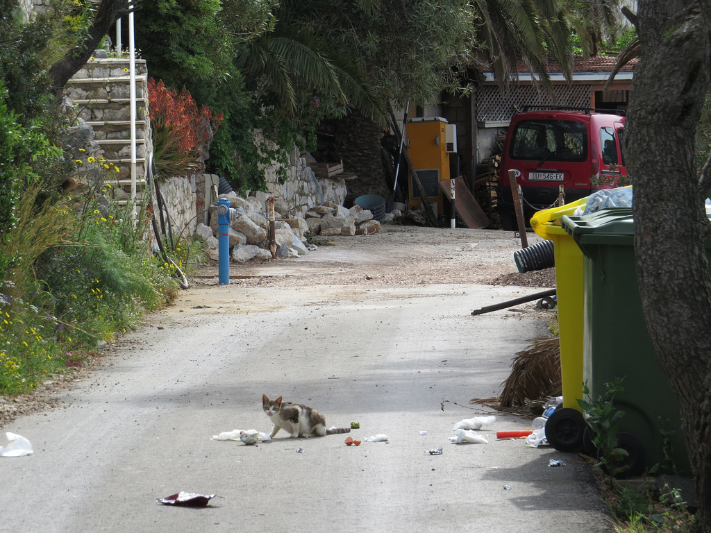 Mljet : Babine Kuce.