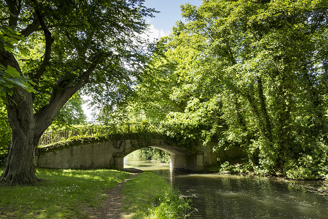 Lady's Bridge