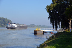 Herbsttag am Rhein bei Plittersdorf