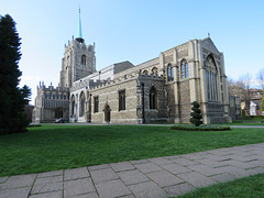 chelmsford cathedral, essex  (63)