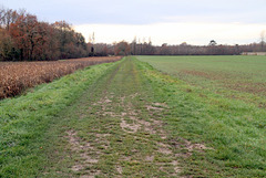 Chemin de Bréau - 6270