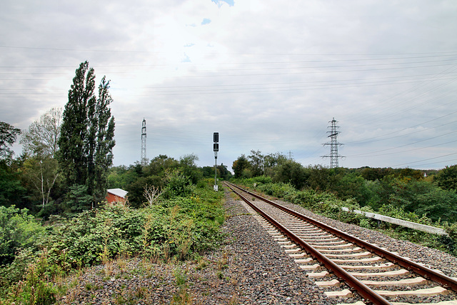 Bahnstrecke Oberhausen–Wesel, genannt Walsumbahn (Duisburg-Neumühl) / 6.09.2020