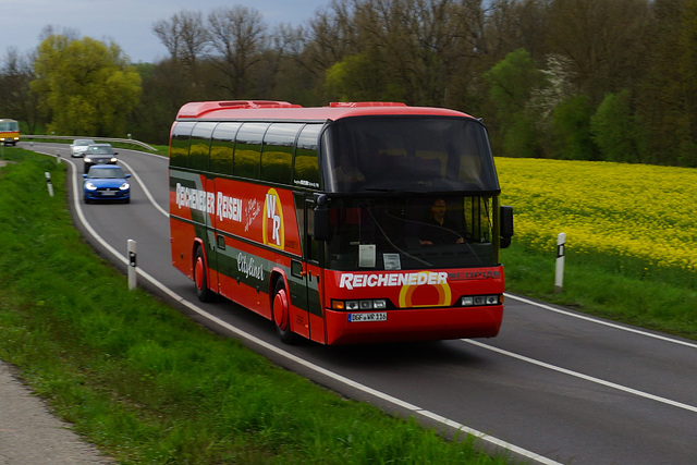 Omnibustreffen Sinsheim Speyer 2023 591