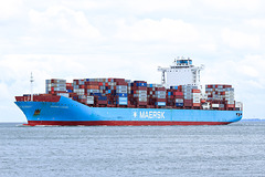 MAERSK  LAGUNA