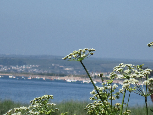 Looking towards Instow beach