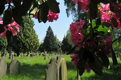 teddington cemetery, london