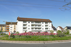 Tulpeninsel am Ortsrand