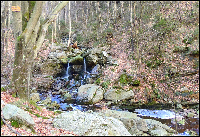 Cascade  des Nuttons