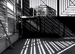 fences and shadows - PiPs