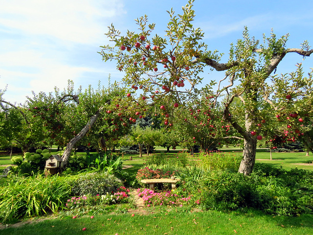 At our friend's farm.