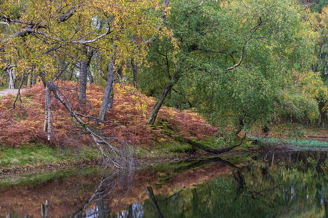 Grisedale: Lanty's Tarn