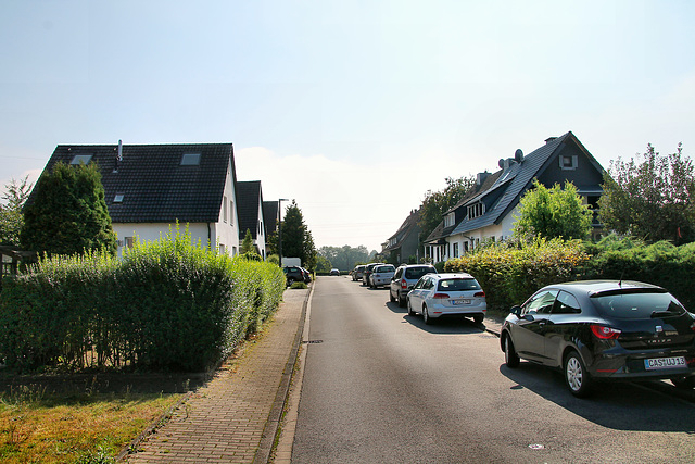 Auf der Umflut (Castrop-Rauxel-Henrichenburg) / 11.09.2022