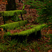Green, Green Bench of Home